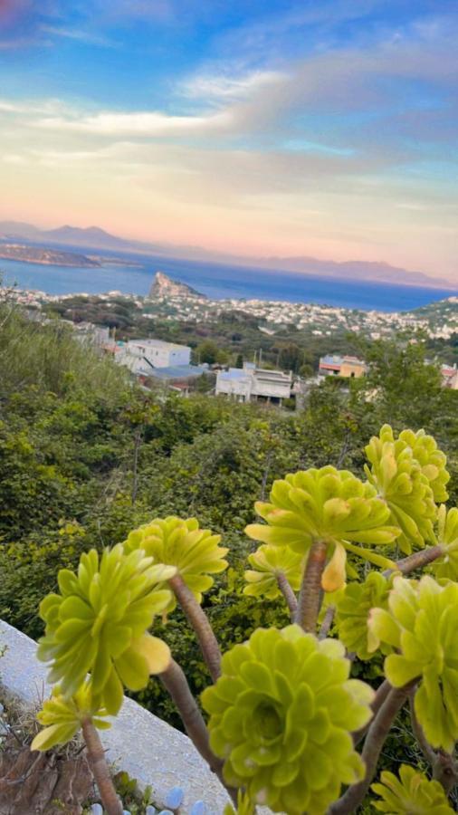 Relais Villa Ettore Barano d'Ischia Bagian luar foto