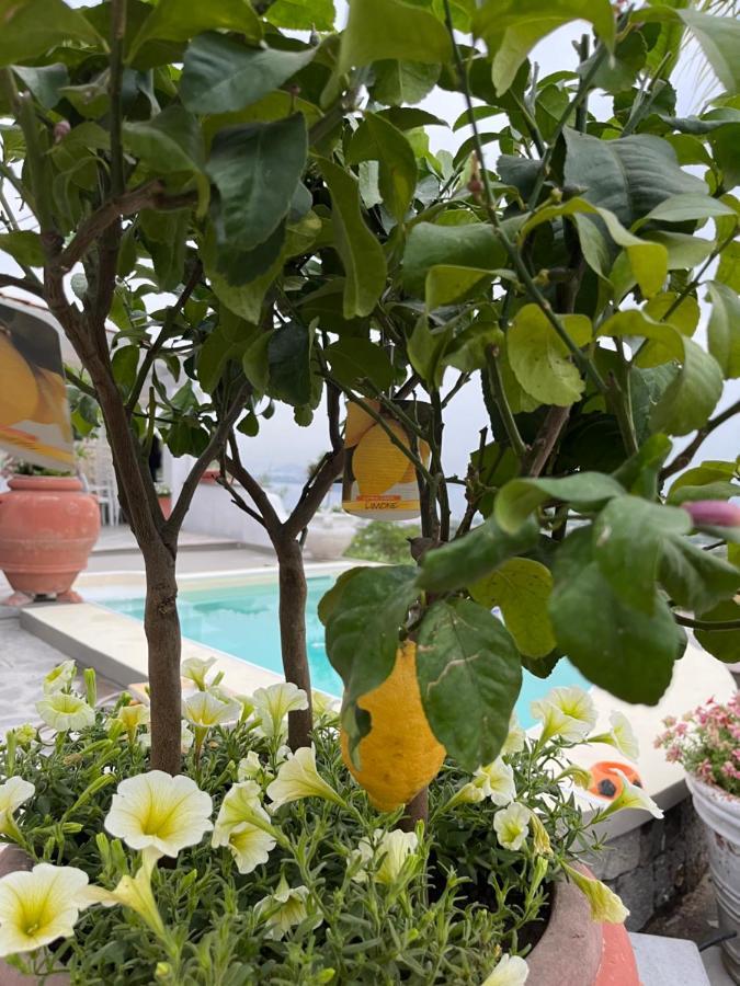 Relais Villa Ettore Barano d'Ischia Bagian luar foto
